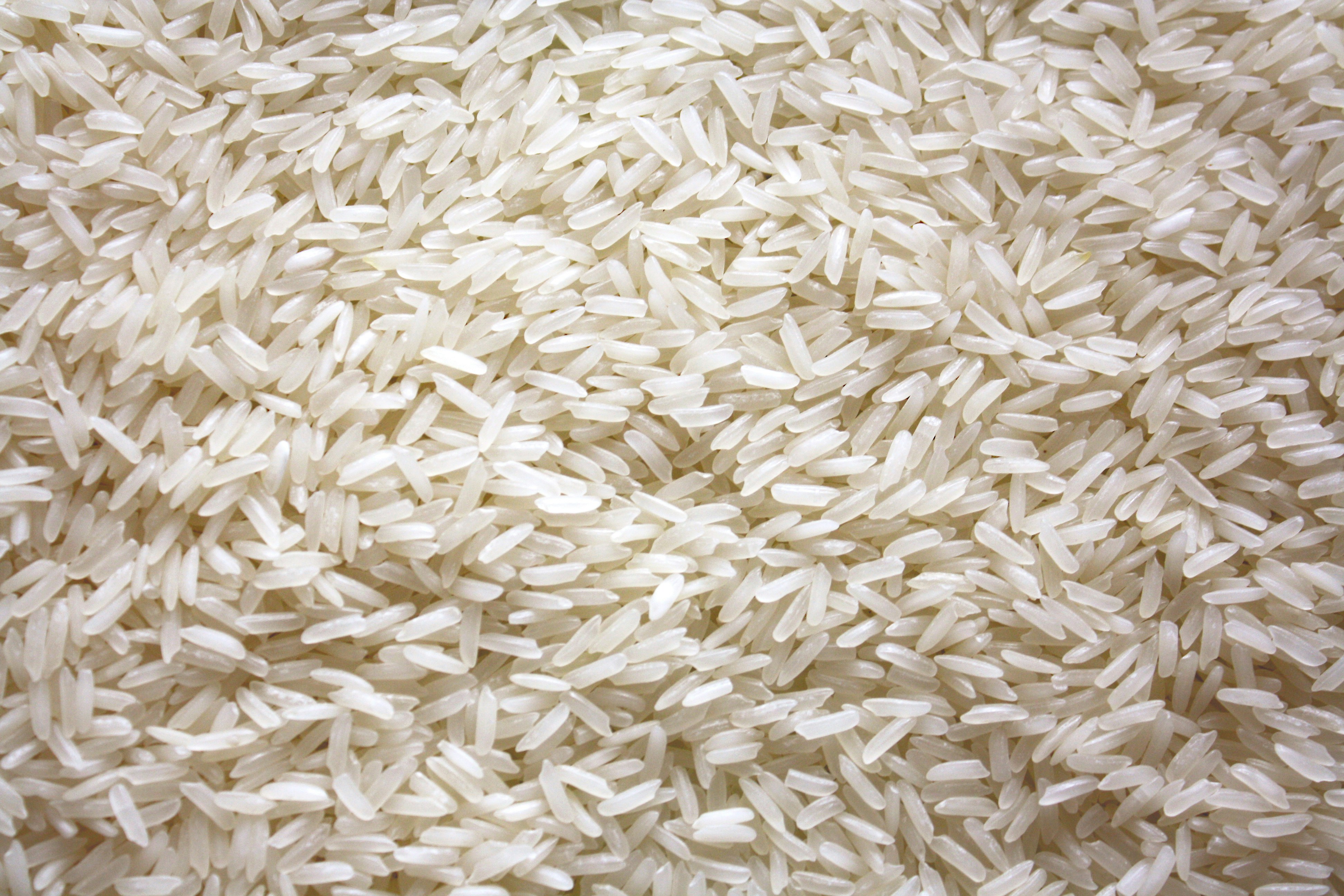Grain